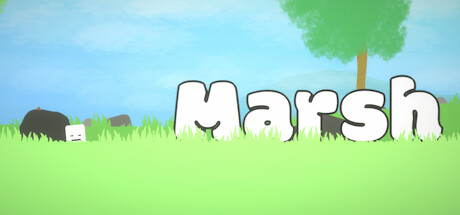 Marsh