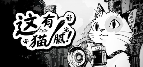 这有猫腻/Cat Me If You Can